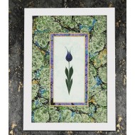 Lale Ebru Tablo-2 Lale Ebru Tablo-2